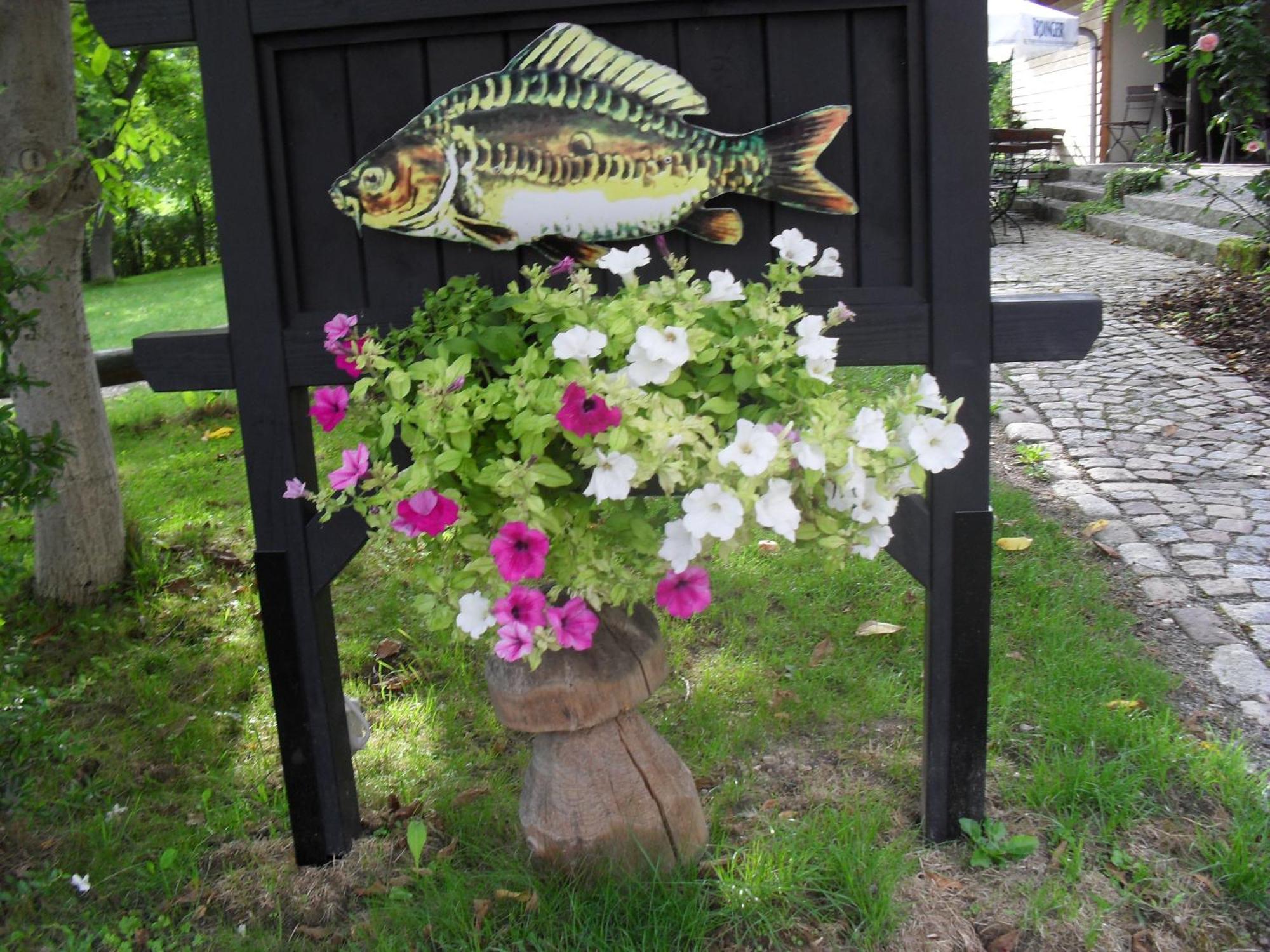Fischerhof Crimmitschau Camera foto